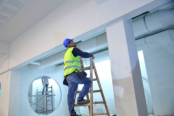Trusted Garden View, PA Mold Removal Experts